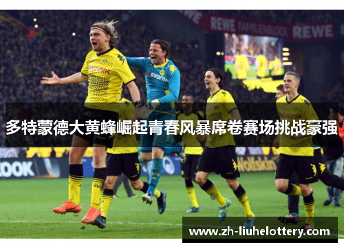 多特蒙德大黄蜂崛起青春风暴席卷赛场挑战豪强