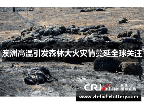 澳洲高温引发森林大火灾情蔓延全球关注